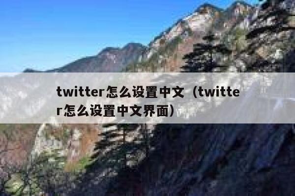 twitter怎么设置中文（twitter怎么设置中文界面） 第1张