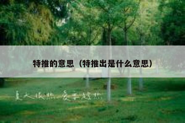 特推的意思（特推出是什么意思） 第1张