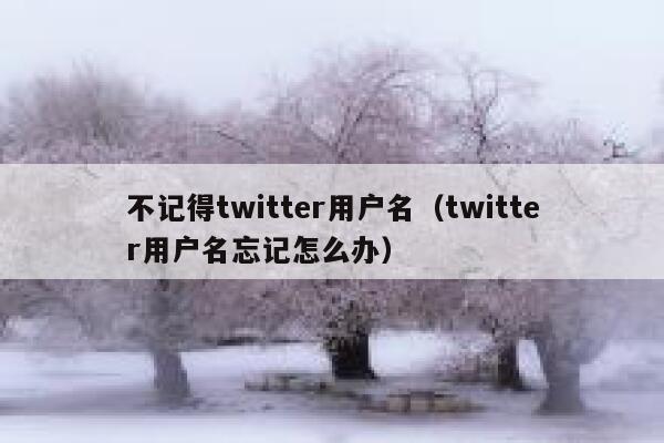 不记得twitter用户名（twitter用户名忘记怎么办） 第1张
