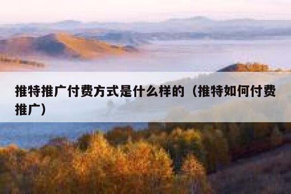 推特推广付费方式是什么样的（推特如何付费推广） 第1张