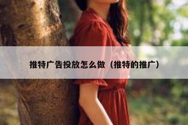 推特广告投放怎么做（推特的推广） 第1张