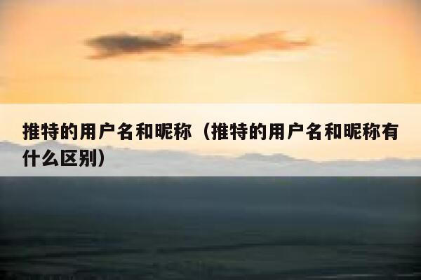 推特的用户名和昵称（推特的用户名和昵称有什么区别） 第1张
