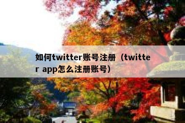 如何twitter账号注册（twitter app怎么注册账号） 第1张