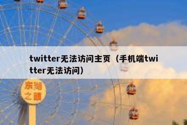 twitter无法访问主页（手机端twitter无法访问） 第1张