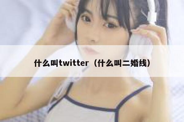 什么叫twitter（什么叫二婚线） 第1张