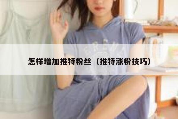 怎样增加推特粉丝（推特涨粉技巧） 第1张