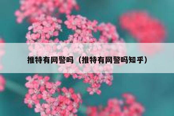 推特有网警吗（推特有网警吗知乎） 第1张