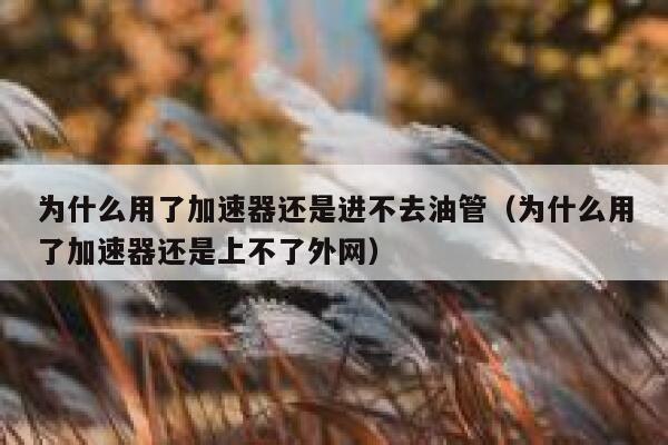 为什么用了加速器还是进不去油管（为什么用了加速器还是上不了外网） 第1张