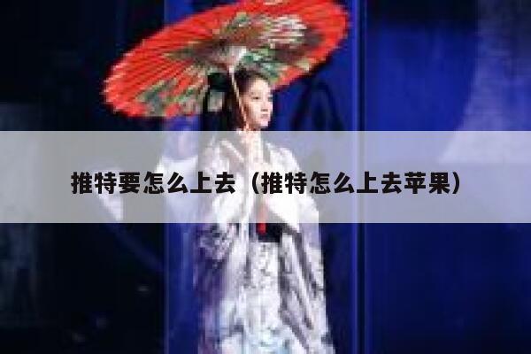 推特要怎么上去（推特怎么上去苹果） 第1张