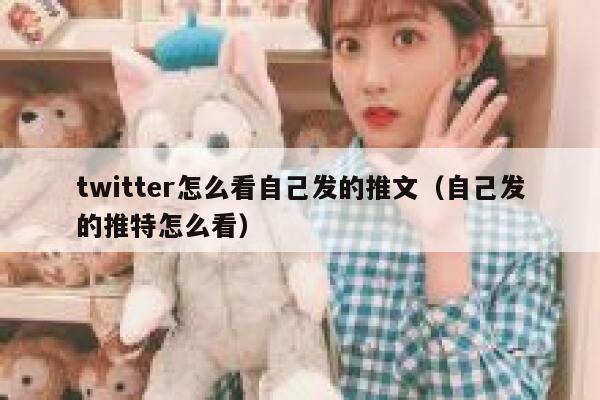 twitter怎么看自己发的推文（自己发的推特怎么看） 第1张