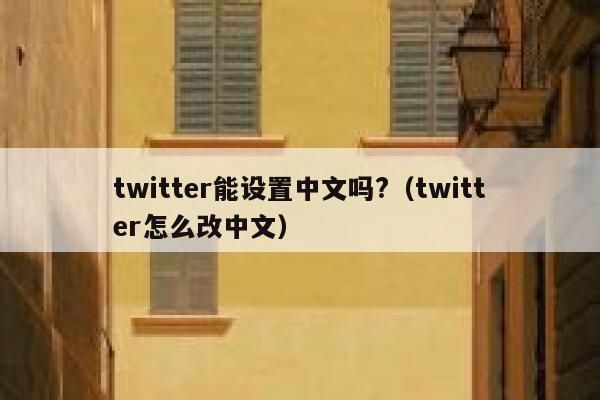 twitter能设置中文吗?（twitter怎么改中文） 第1张