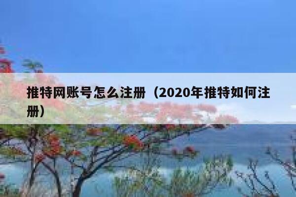 推特网账号怎么注册（2020年推特如何注册） 第1张