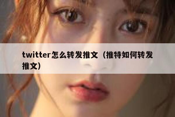 twitter怎么转发推文（推特如何转发推文） 第1张