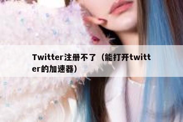 Twitter注册不了（能打开twitter的加速器） 第1张