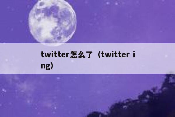 twitter怎么了（twitter ing） 第1张