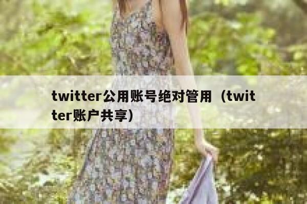 twitter公用账号绝对管用（twitter账户共享） 第1张
