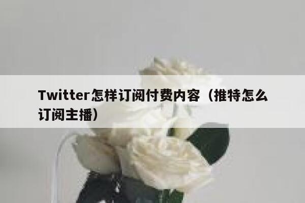 Twitter怎样订阅付费内容（推特怎么订阅主播） 第1张