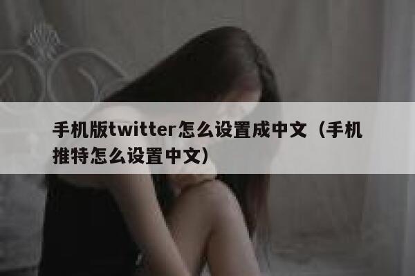 手机版twitter怎么设置成中文（手机推特怎么设置中文） 第1张