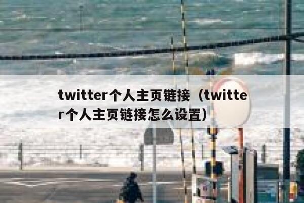 twitter个人主页链接（twitter个人主页链接怎么设置） 第1张