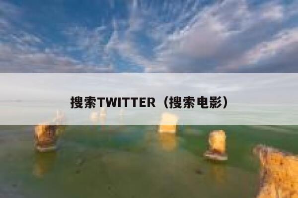 搜索TWITTER（搜索电影） 第1张
