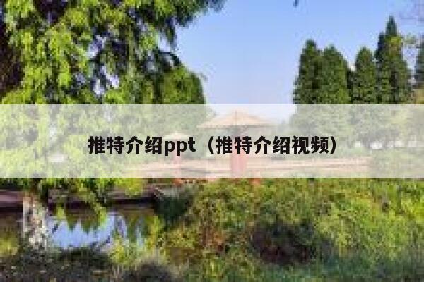 推特介绍ppt（推特介绍视频） 第1张