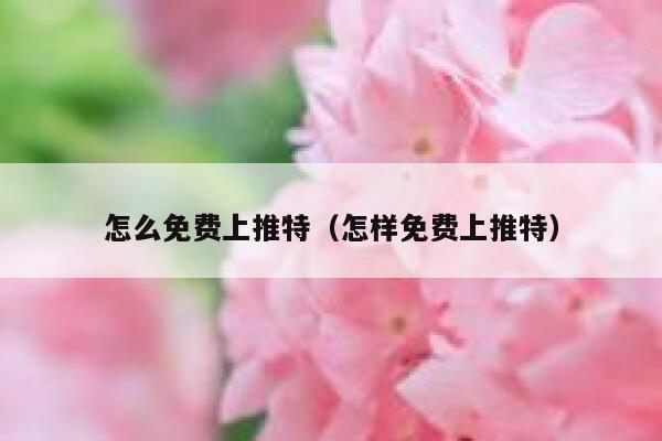 怎么免费上推特（怎样免费上推特） 第1张