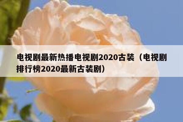 电视剧最新热播电视剧2020古装（电视剧排行榜2020最新古装剧） 第1张