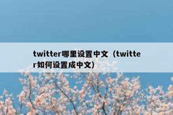 twitter哪里设置中文（twitter如何设置成中文） 第1张