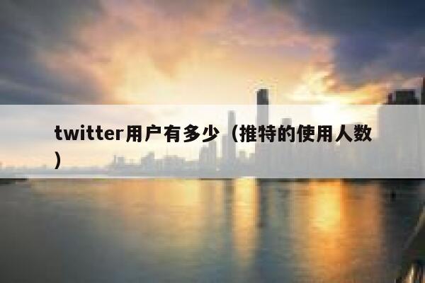twitter用户有多少（推特的使用人数） 第1张