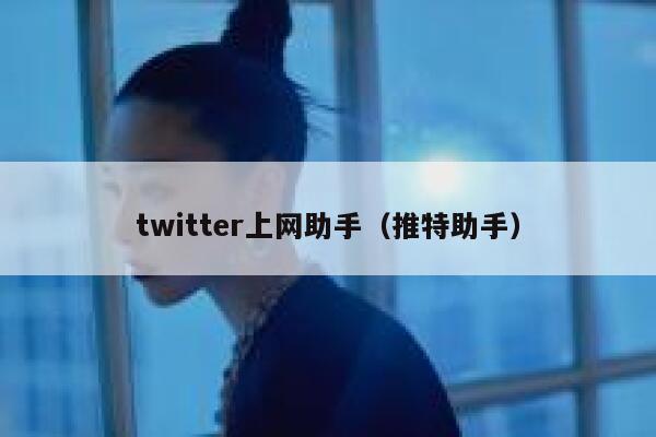 twitter上网助手（推特助手） 第1张