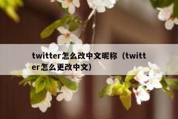 twitter怎么改中文昵称（twitter怎么更改中文） 第1张