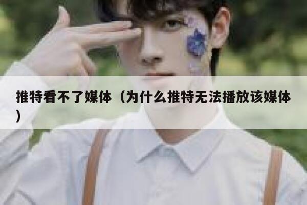 推特看不了媒体（为什么推特无法播放该媒体） 第1张
