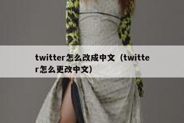 twitter怎么改成中文（twitter怎么更改中文） 第1张