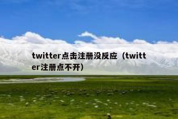twitter点击注册没反应（twitter注册点不开） 第1张