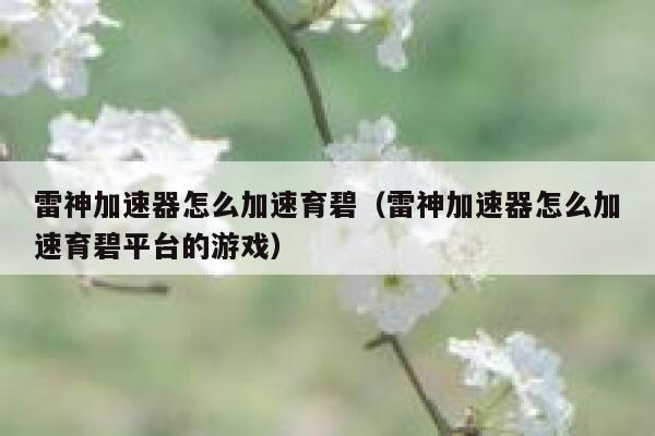 雷神加速器怎么加速育碧（雷神加速器怎么加速育碧平台的游戏） 第1张