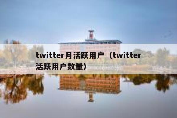 twitter月活跃用户（twitter活跃用户数量） 第1张