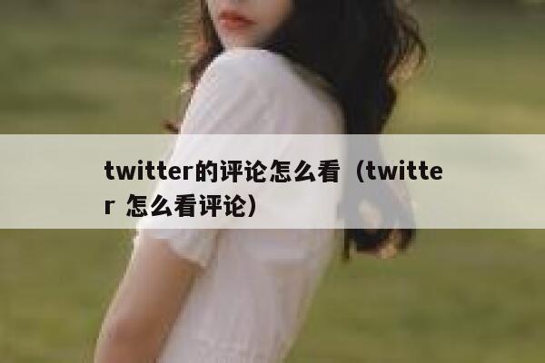 twitter的评论怎么看（twitter 怎么看评论） 第1张