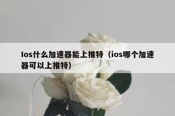 Ios什么加速器能上推特（ios哪个加速器可以上推特） 第1张
