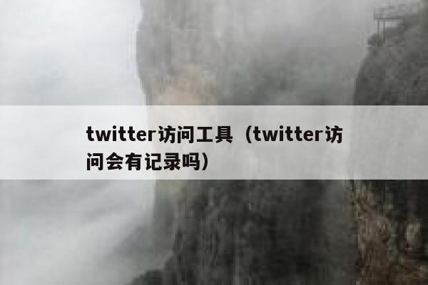 twitter访问工具（twitter访问会有记录吗） 第1张