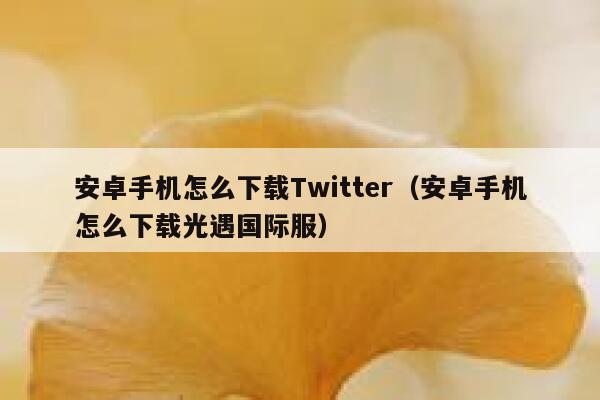 安卓手机怎么下载Twitter（安卓手机怎么下载光遇国际服） 第1张