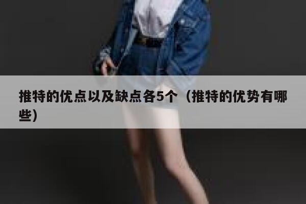 推特的优点以及缺点各5个（推特的优势有哪些） 第1张