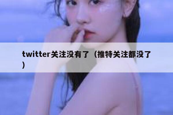twitter关注没有了（推特关注都没了） 第1张