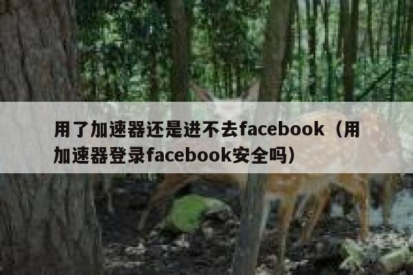 用了加速器还是进不去facebook（用加速器登录facebook安全吗） 第1张