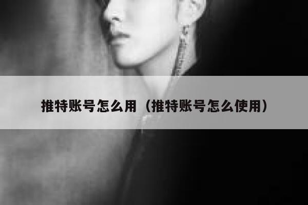推特账号怎么用（推特账号怎么使用） 第1张