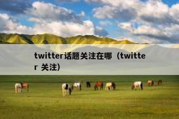 twitter话题关注在哪（twitter 关注） 第1张