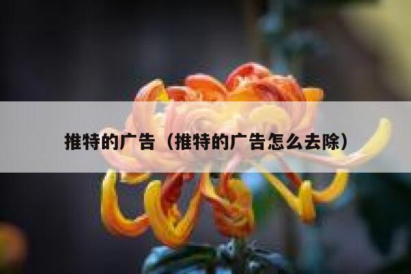 推特的广告（推特的广告怎么去除） 第1张
