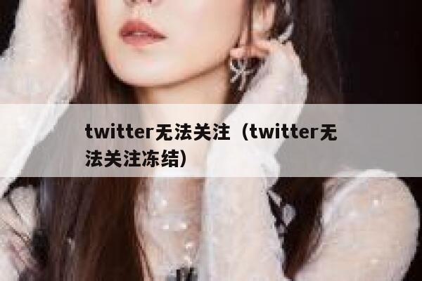 twitter无法关注（twitter无法关注冻结） 第1张