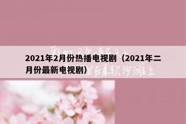 2021年2月份热播电视剧（2021年二月份最新电视剧） 第1张