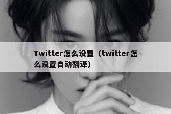Twitter怎么设置（twitter怎么设置自动翻译） 第1张
