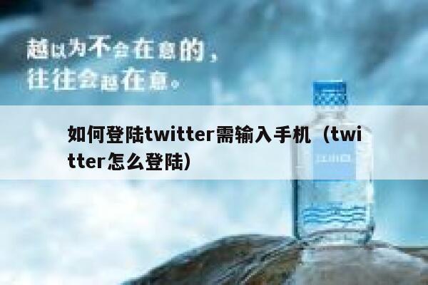 如何登陆twitter需输入手机（twitter怎么登陆） 第1张